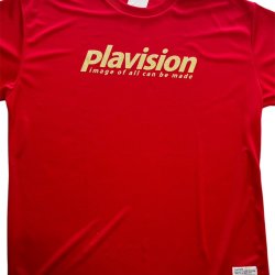 画像1: ★5L★BIGサイズ★PLVSロゴＴシャツ