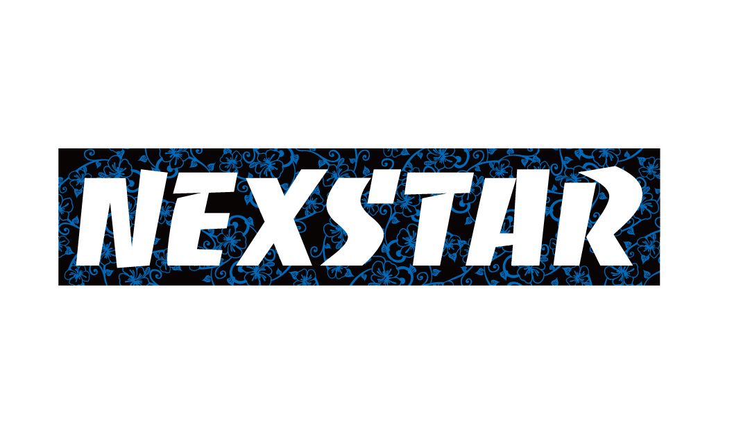 画像2: 数量限定★NEXSTER★2023ハイビスカスロゴ●