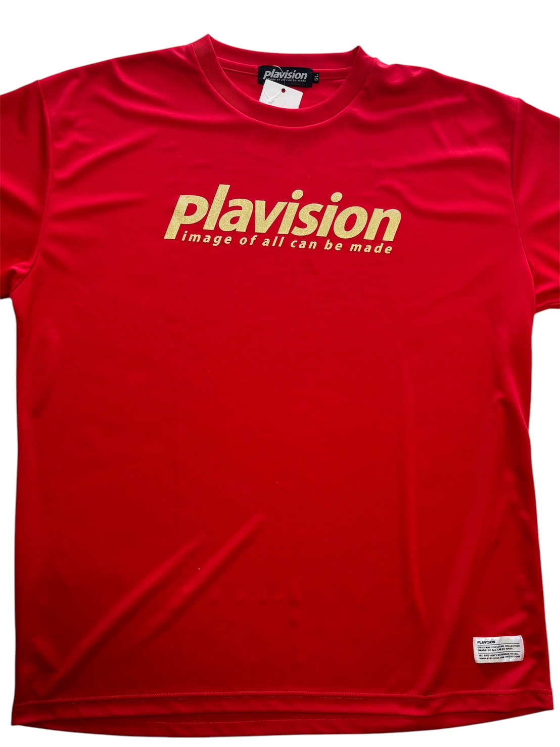 画像1: ★5L★BIGサイズ★PLVSロゴＴシャツ